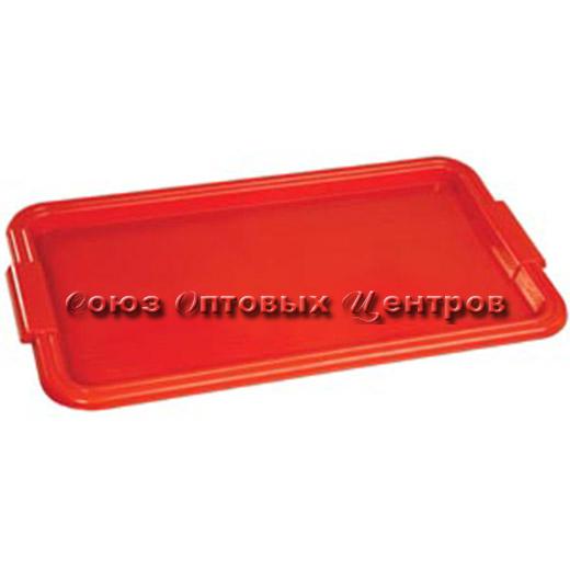 Поднос С120 31,5х56 /20